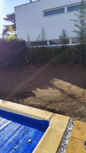 Photo de galerie - Terrain labouré, mis à niveau et gazon semé en bordure de piscine. 