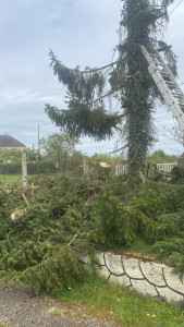 Photo de galerie - Entretien 