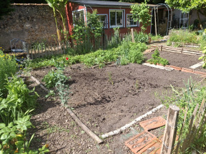 Photo de galerie - Paysagiste - Aménagement du jardin