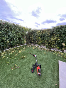 Photo de galerie - Aspirateur broyeur souffleur (jardinage)