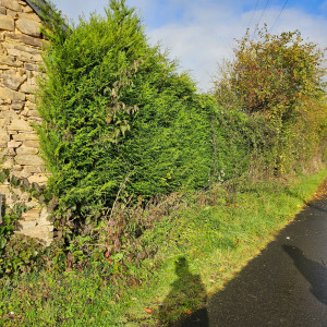 Photo de galerie - Avent 