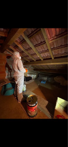 Photo de galerie - Traitement de charpente par pulvérisateur 