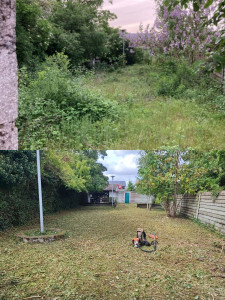 Photo de galerie - Débroussaillage 