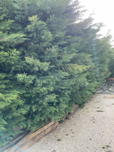 Photo de galerie - Avant