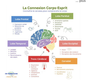 Photo de galerie - Expérimenté depuis plusieurs années reste à votre disposition 