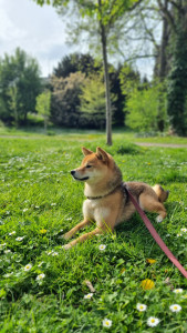Photo de galerie - Princesse Yume-chan