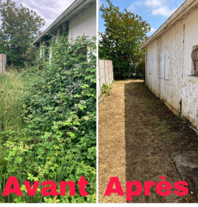 Photo de galerie - Jardin de ma grand-mère, fait l’année dernière par moi-même