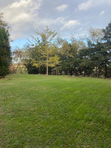 Photo de galerie - Après tonte de pelouse, travail soigné