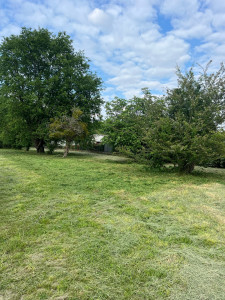 Photo de galerie - Tonte de pelouse - Débroussaillage