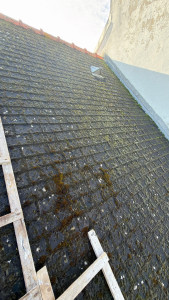 Photo de galerie - Avant le nettoyage d’une toiture sur Sainte-Marine