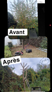 Photo de galerie - élagage 