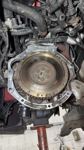 Photo de galerie - Embrayage 