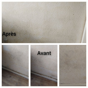 Photo de galerie - Nettoyage des murs
