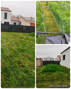 Photo de galerie - Tonte sans entretien 