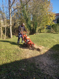 Photo de galerie - Paysagiste - Aménagement du jardin