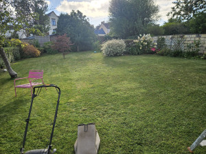Photo de galerie - Tonte jardin 400m2