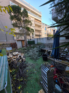 Photo de galerie - Elagage et coupe d'arbres