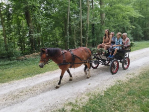 Photo de galerie - Habitués depuis toujours à vivre avec les animaux