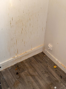 Photo de galerie - Avant la prestation 