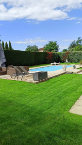 Photo de galerie - Création de gazon 