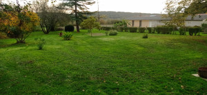 Photo de galerie - Tonte, taille, débroussaillage 