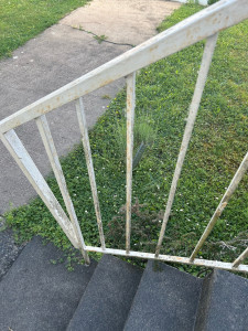 Photo de galerie - Peinture - Tapisserie