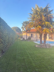 Photo de galerie - Tonte de pelouse 