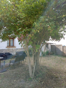 Photo de galerie - Réalisation à Crouy sur Ourcq 77840