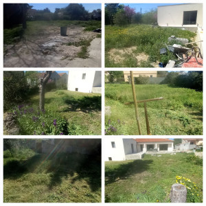 Photo de galerie - Débroussaillage 