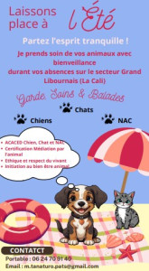 Photo de galerie - Annonce Pet-sitter dans le respect de l'animal, ethique et respect.