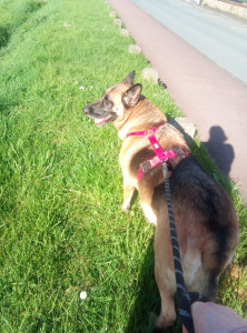 Photo de galerie - Sabah en promenade - 04/26