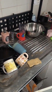 Photo de galerie - Ménage