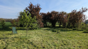 Photo de galerie - Tonte de pelouse - Débroussaillage