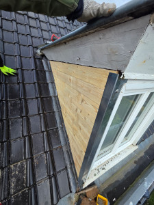 Photo de galerie - Réfection chien assis 