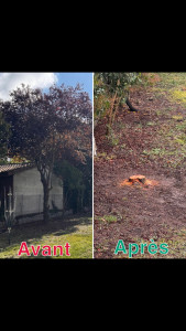 Photo de galerie - Chantier sur Cugnaux avant / après 