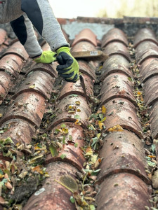 Photo de galerie - Nettoyage de Toiture, Nantes