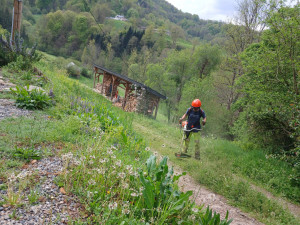 Photo de galerie - Débroussaillage