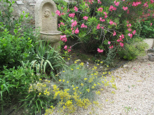 Photo de galerie - Creation jardin blauzac