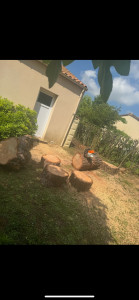 Photo de galerie - Abattage d’arbre très professionnel