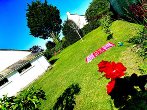 Photo de galerie - Entretien jardin 