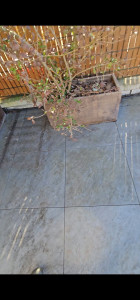 Photo de galerie - Nettoyeur haute pression / Karcher