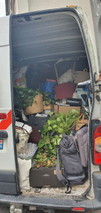 Photo de galerie - Toujours faire attention de ne pas abîmer les plantes vertes de mes clients?...