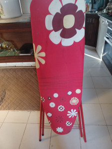 Photo de galerie - Repasseuse professionnel 