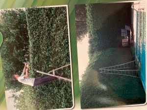 Photo de galerie - Taille de haies 