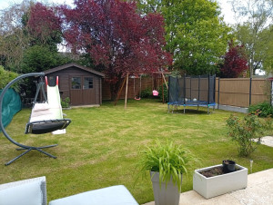 Photo de galerie - Après tonte de pelouse courtes 
