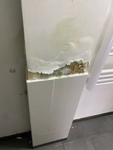 Photo de galerie - Plâtrerie - Murs - Plafonds