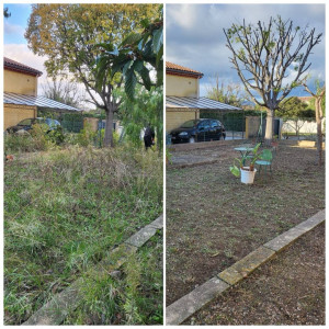 Photo de galerie - Entretien complet d’un jardin : Débroussaillage, taille d’arbre à Montpellier.