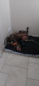 Photo de galerie - ❤️