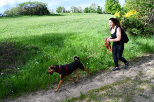 Photo de galerie - Garde chien