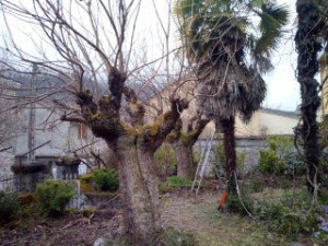 Photo de galerie - Avant 